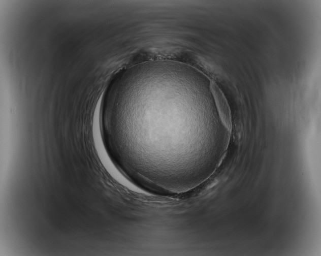 X0000085791010200703301446