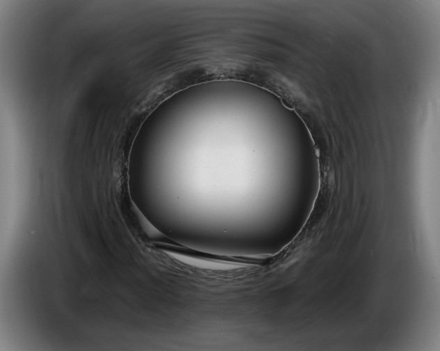 X0000085791012200703301446
