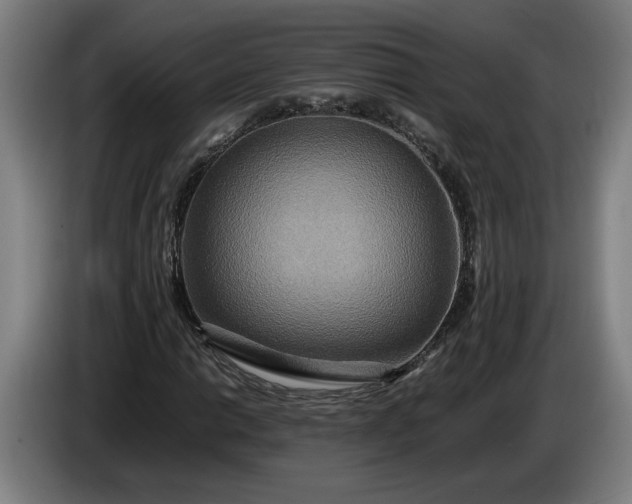 X0000085791014200703301446