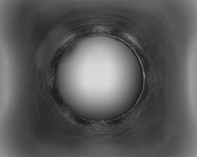 X0000085791015200703301446