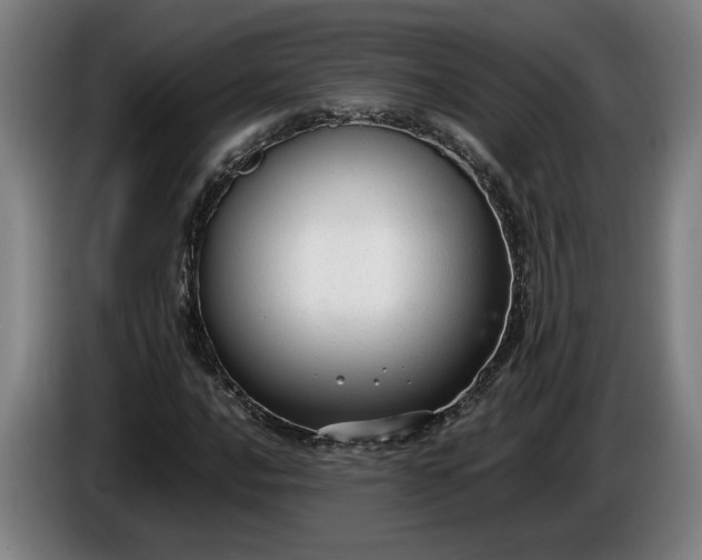 X0000085791016200703301446