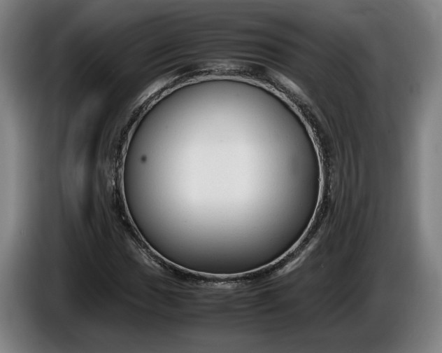 X0000085791017200703301446