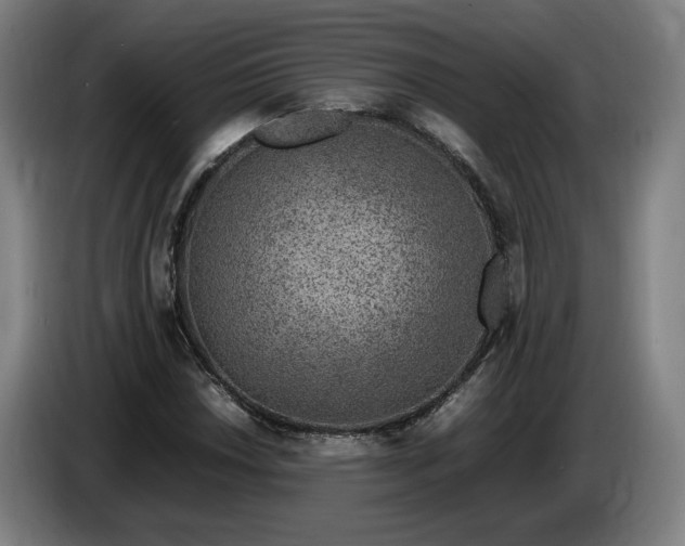 X0000085791018200703301446