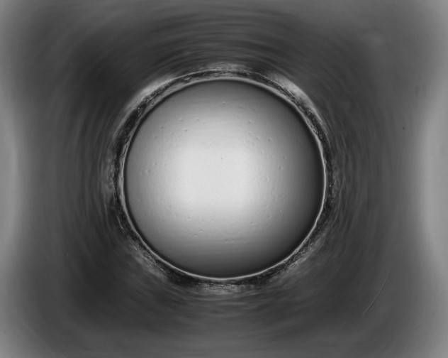 X0000085791019200703301446