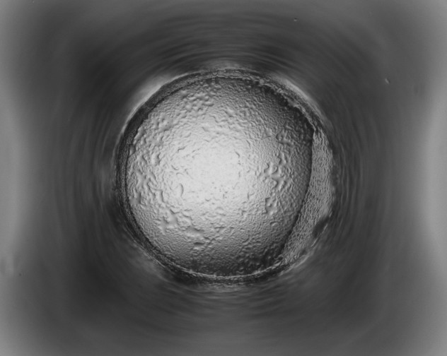 X0000085791023200703301446