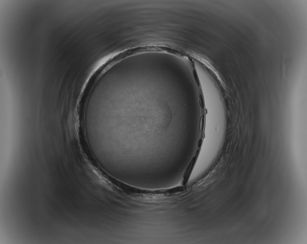 X0000085791024200703301446