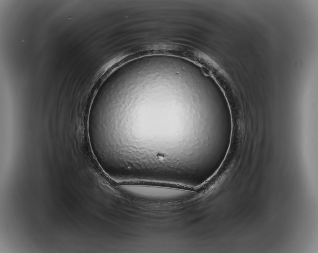 X0000085791025200703301447