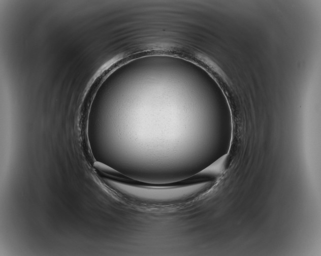 X0000085791026200703301447