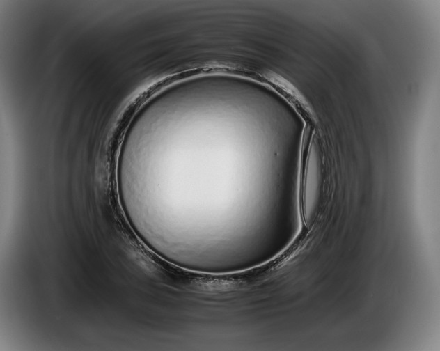 X0000085791027200703301447