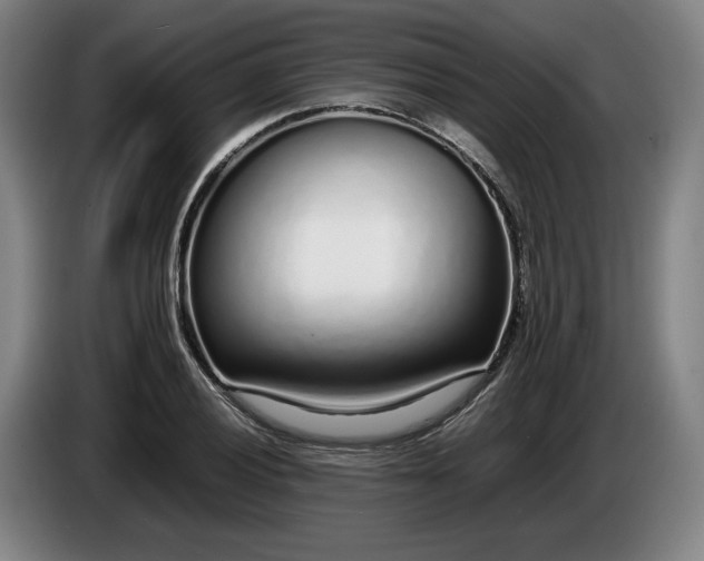 X0000085791028200703301447