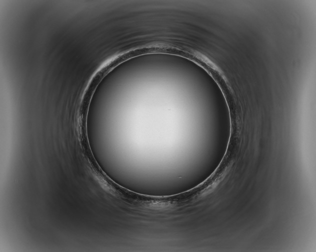 X0000085791029200703301447