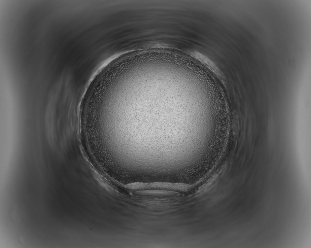 X0000085791031200703301447