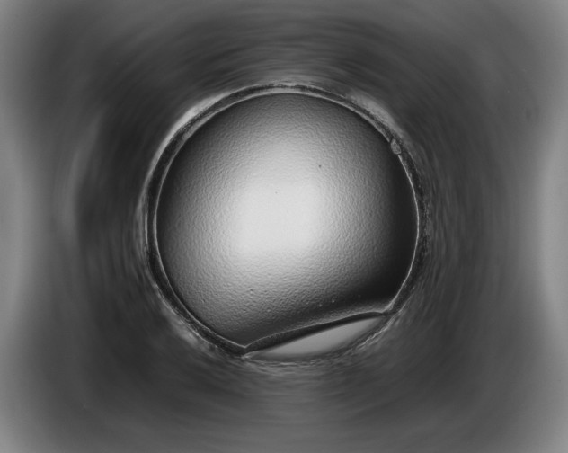 X0000085791032200703301447