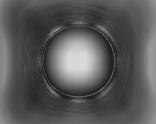 X0000085791033200703301447