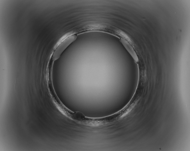 X0000085791034200703301447