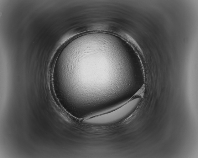X0000085791035200703301447