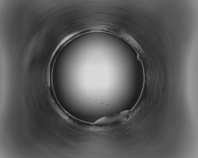 X0000085791036200703301447
