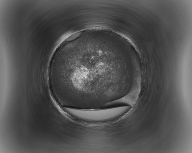 X0000085791038200703301447