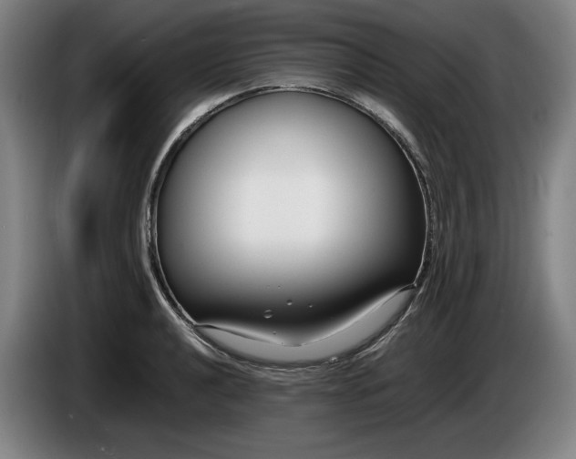X0000085791040200703301447