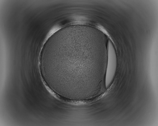 X0000085791042200703301447