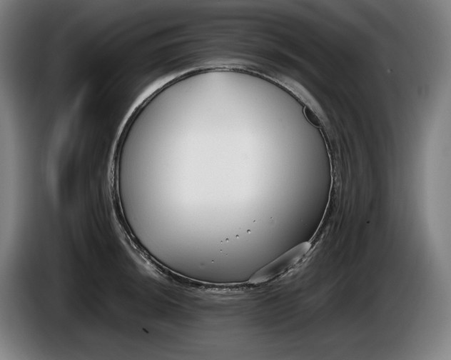 X0000085791044200703301447