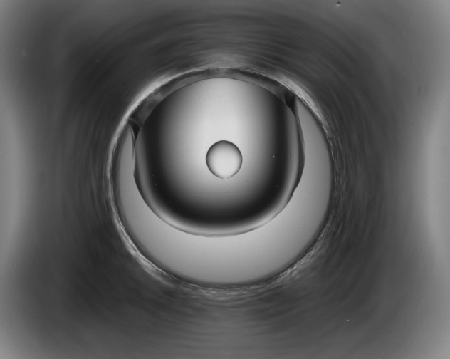X0000085791046200703301447