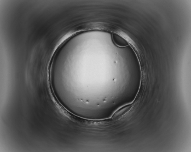 X0000085791047200703301447