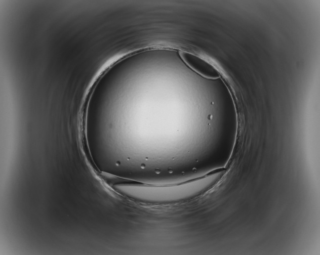 X0000085791048200703301447