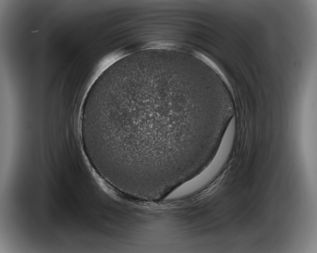 X0000085791050200703301447