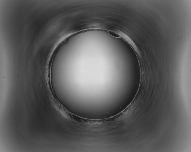 X0000085791051200703301447