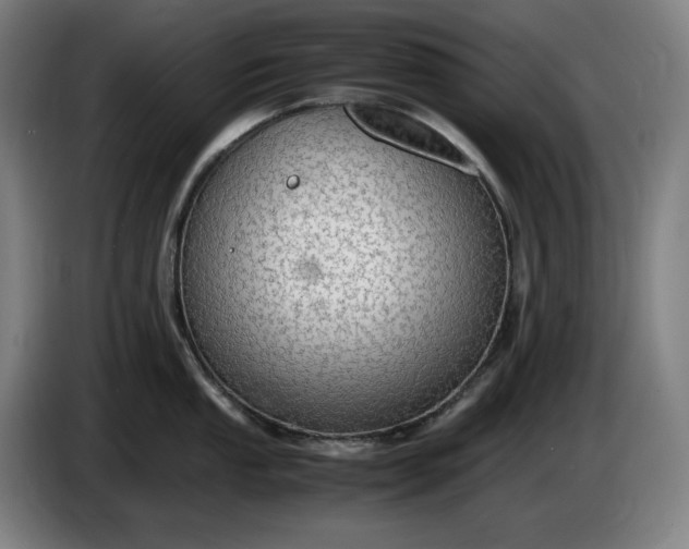 X0000085791053200703301447
