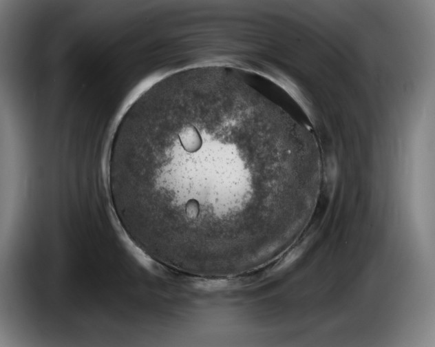 X0000085791054200703301447