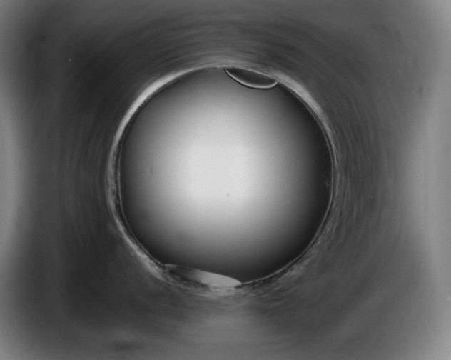 X0000085791056200703301447