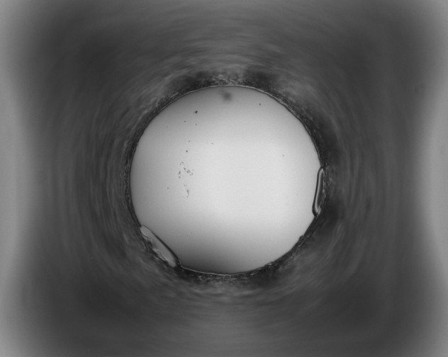 X0000085791057200703301446