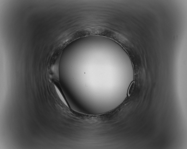 X0000085791058200703301446