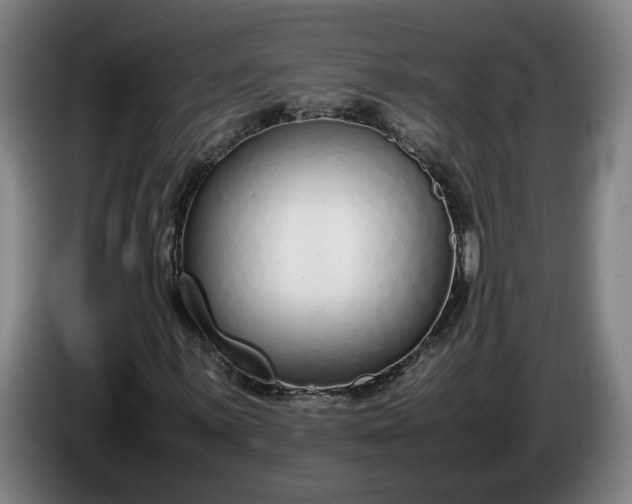 X0000085791059200703301446