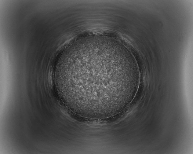 X0000085791060200703301446