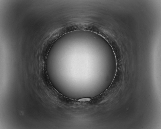 X0000085791061200703301446