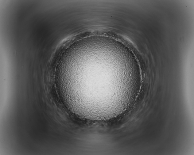 X0000085791063200703301446