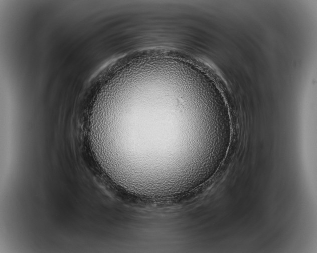 X0000085791064200703301446
