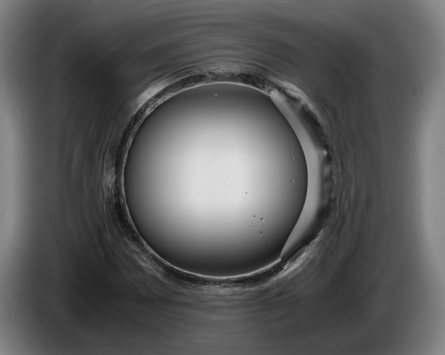 X0000085791065200703301446