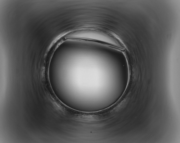 X0000085791066200703301446