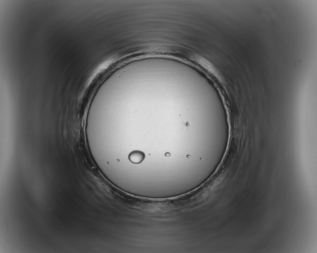 X0000085791067200703301446