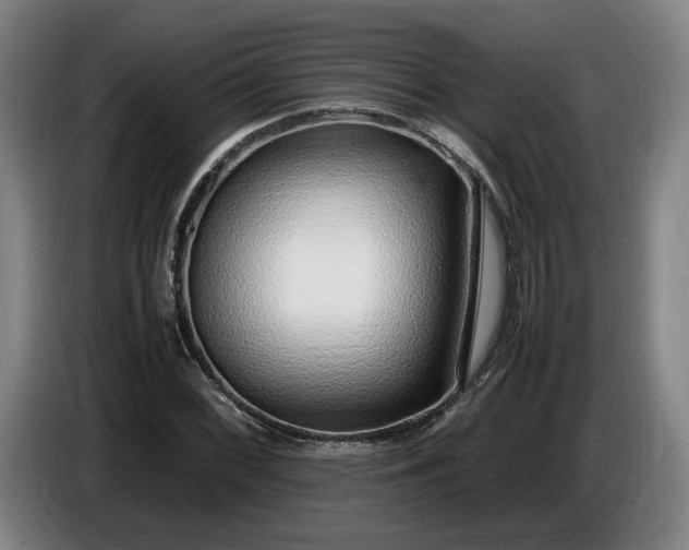 X0000085791068200703301446