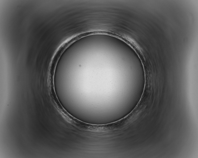 X0000085791072200703301446