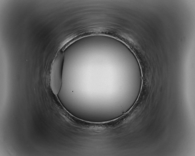 X0000085791073200703301446