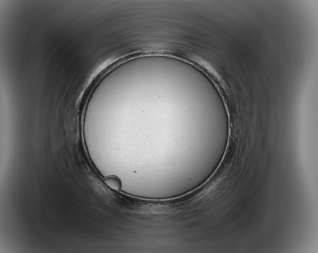 X0000085791075200703301446