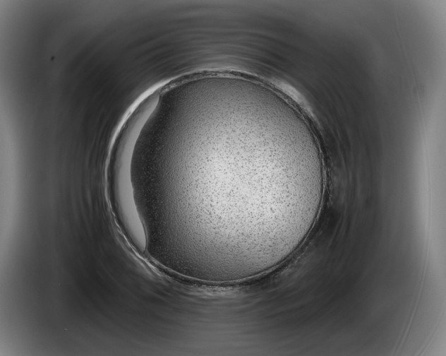 X0000085791076200703301446
