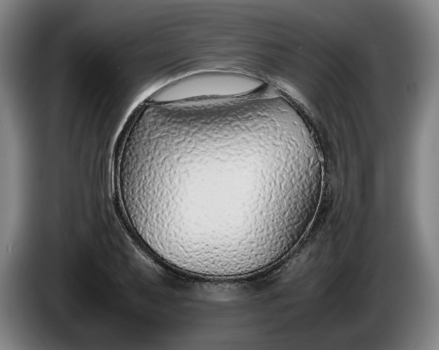 X0000085791079200703301446