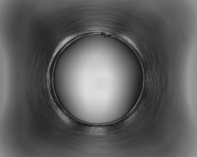 X0000085791082200703301446